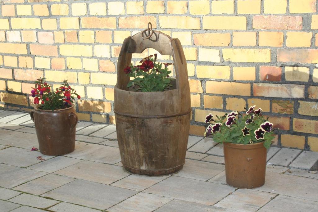 three potted plants in pots next to a brick wall at Gästehaus zur Bienerei in Bad Schmiedeberg
