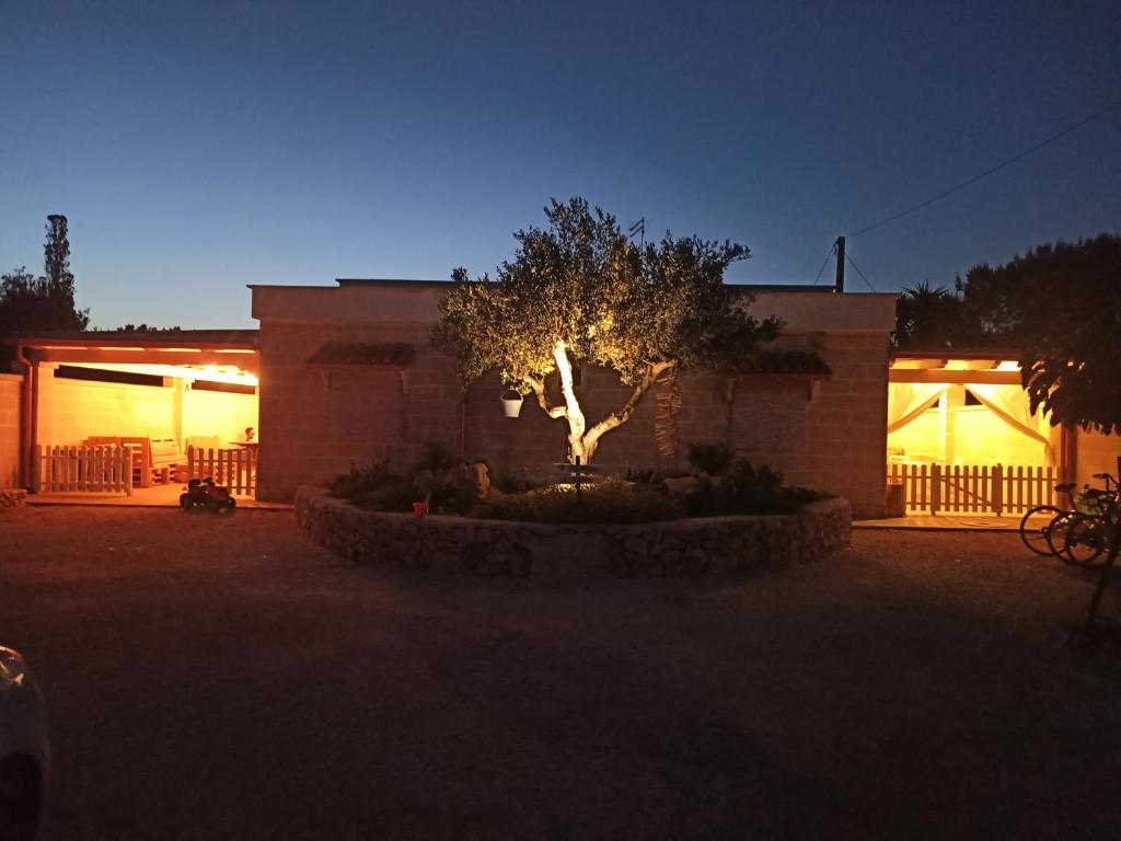 une maison avec un arbre devant elle la nuit dans l'établissement L'Ulivo del Marchese, à Mandurie