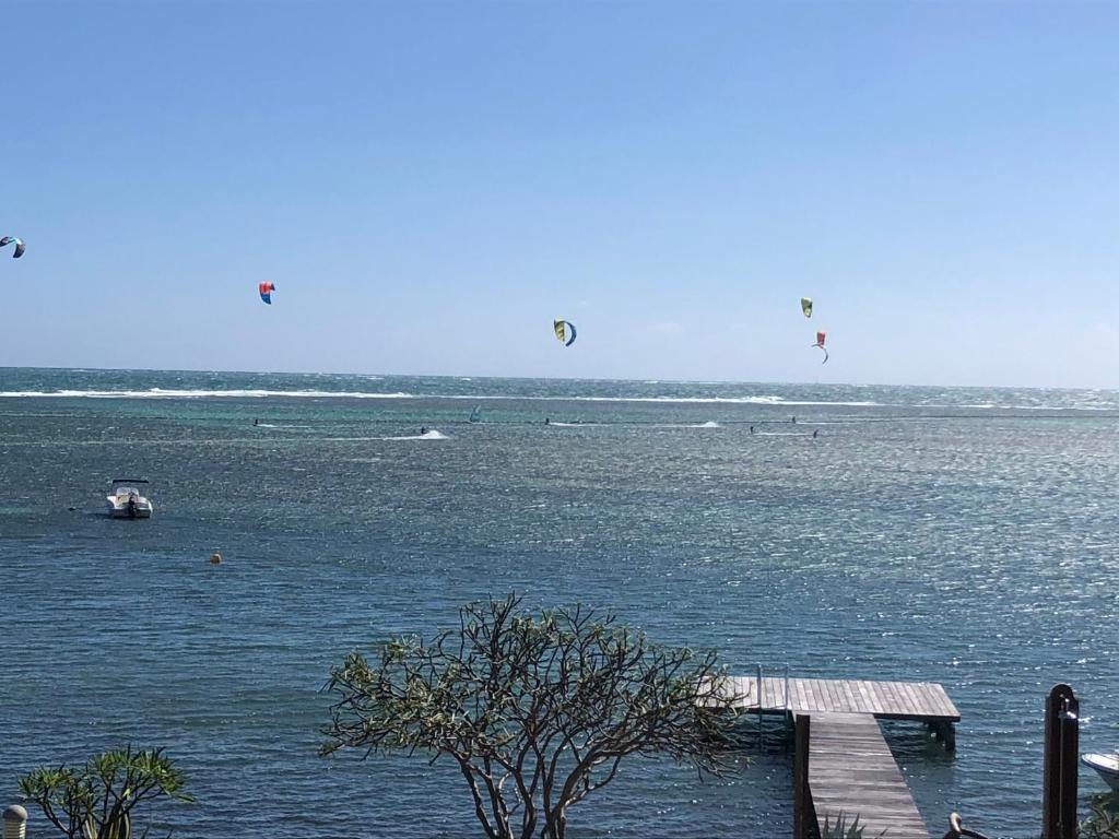 a group of kites flying over a body of water at LA COLLINE DU LAGON in Le François