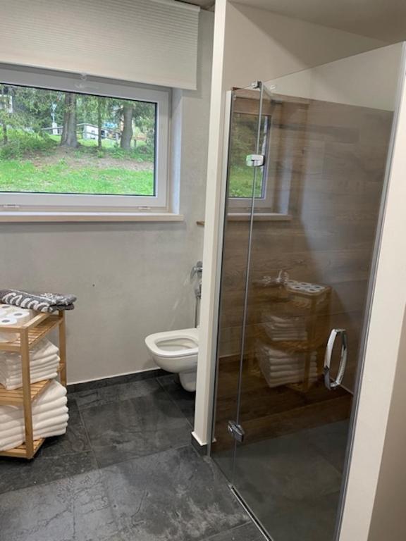 Koupelna v ubytování Apartmány Bílá Nisa