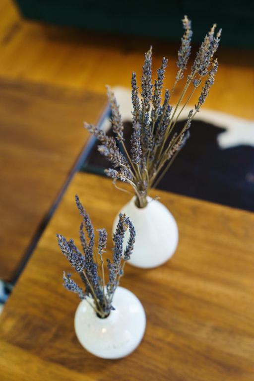 Logement Onze Chambres & Gîtes - 3