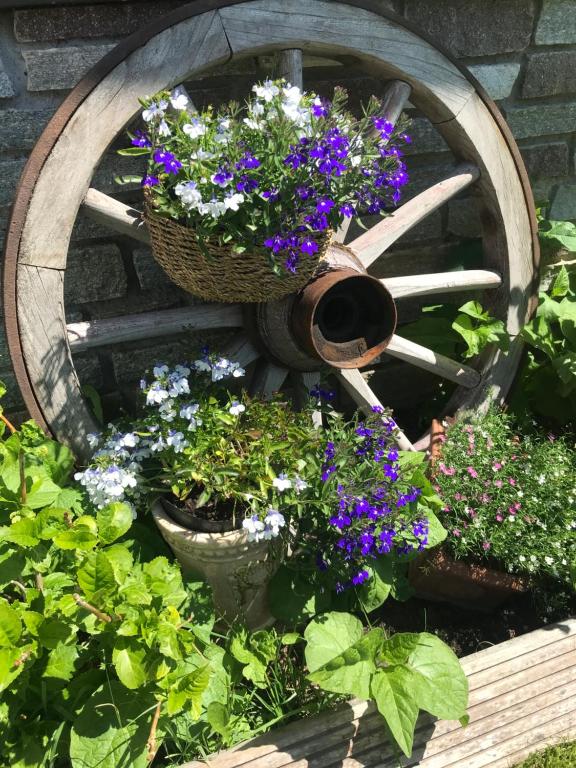 Ein Garten an der Unterkunft Waldhaus Lechner Steinerkogel