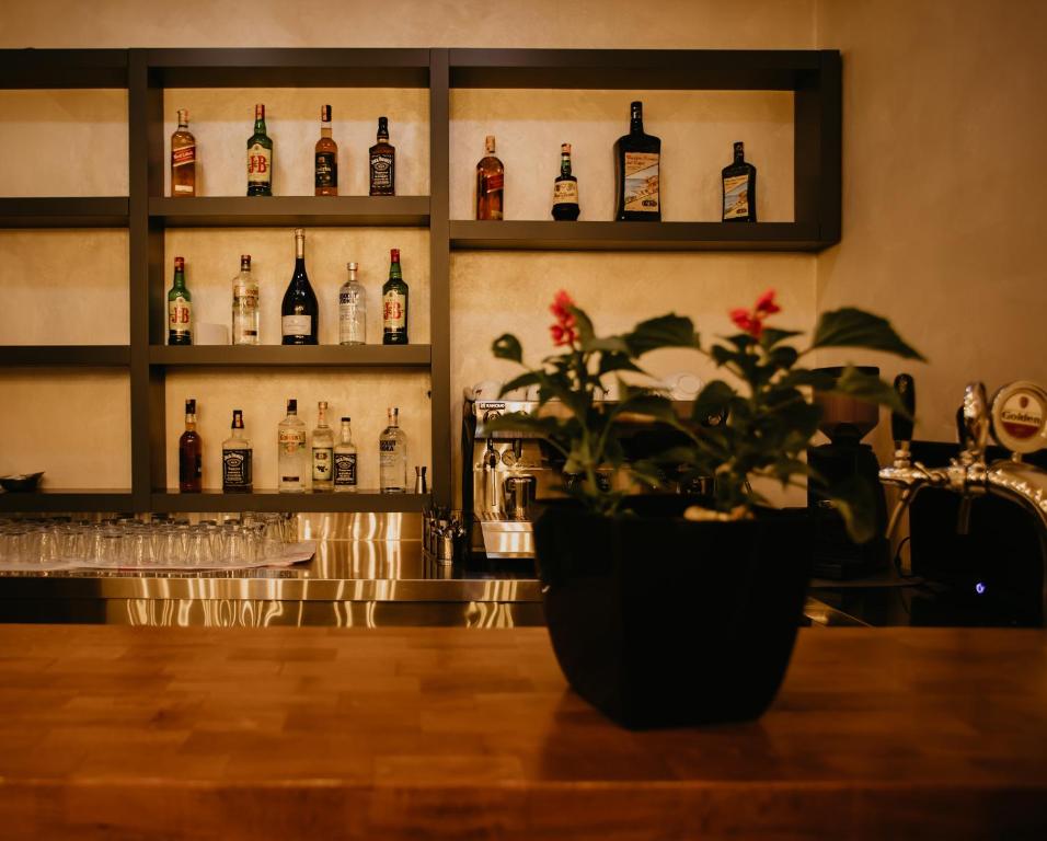 Nápoje v ubytování Hotel Miki