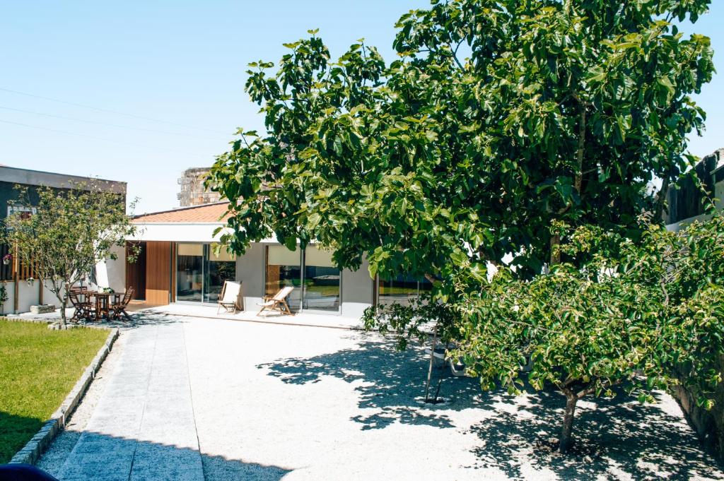 um pátio com uma árvore em frente a um edifício em Casa da Figueira em Moledo