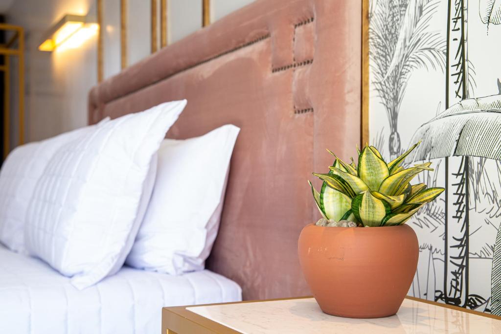  Exótica Boutique Hotel