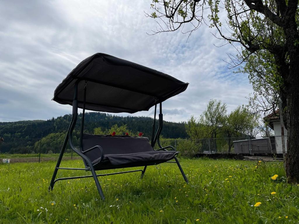 Príroda v okolí apartmánu