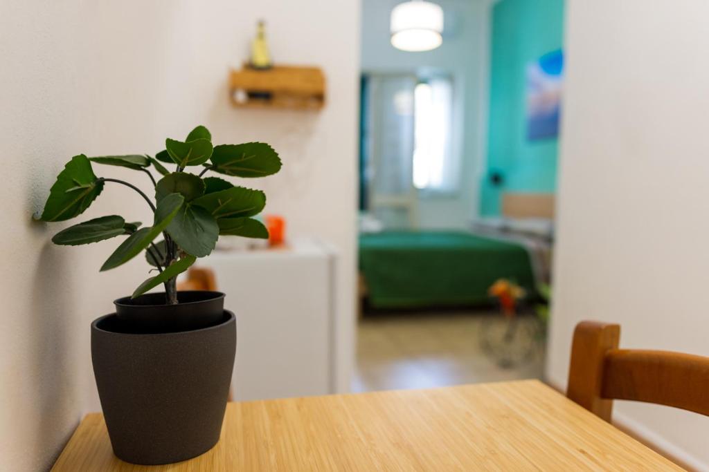 a potted plant sitting on top of a wooden table at La Casetta sul Mare in Isola delle Femmine