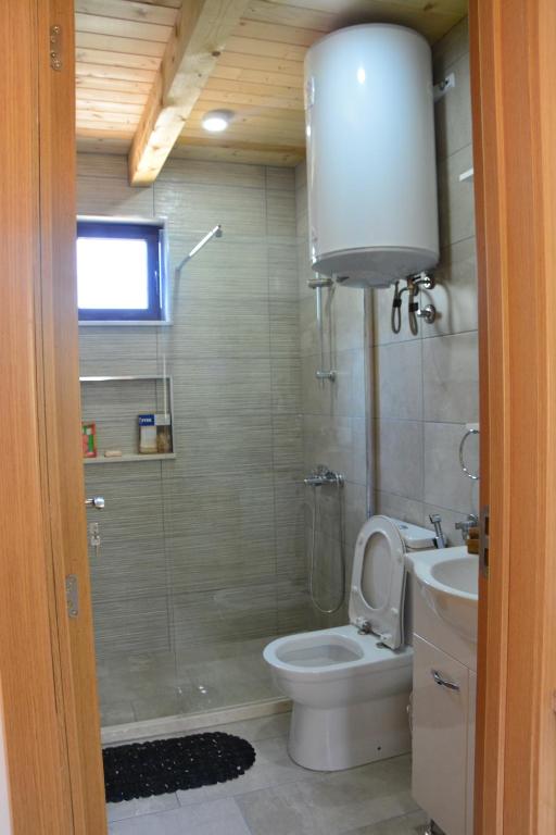 a bathroom with a shower and a toilet and a sink at OLEA COTTAGE in Ulcinj