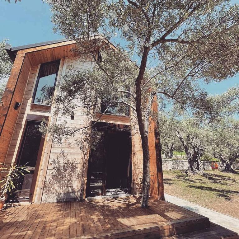a building with a tree in front of it at OLEA COTTAGE in Ulcinj
