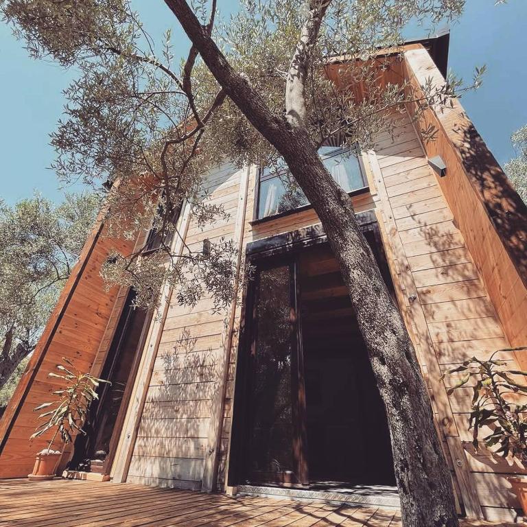 a house with a tree in front of a door at OLEA COTTAGE in Ulcinj