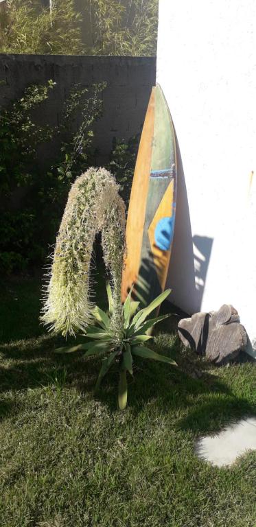  Pousada Beach Eco House Floripa