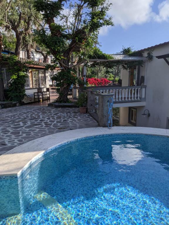 basen przed domem w obiekcie Villa Giovanna w Sorrento