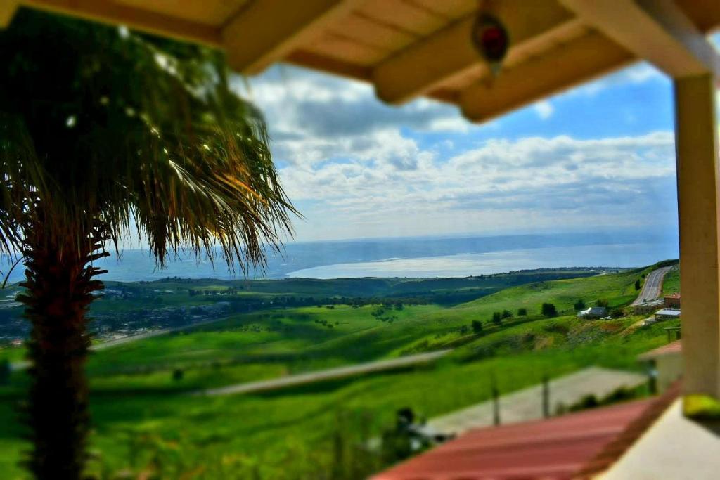 Zachi house