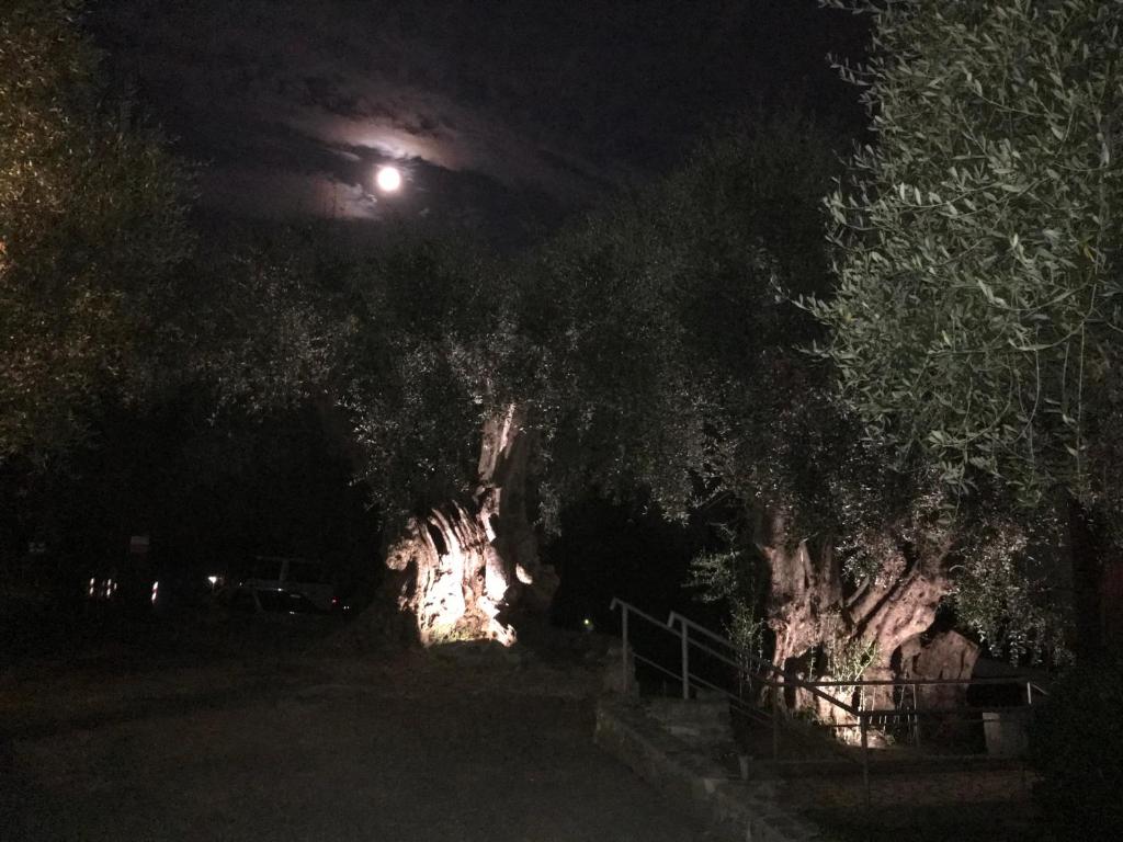 Fotografia z galérie ubytovania Villaggio RTA Borgoverde v destinácii Imperia
