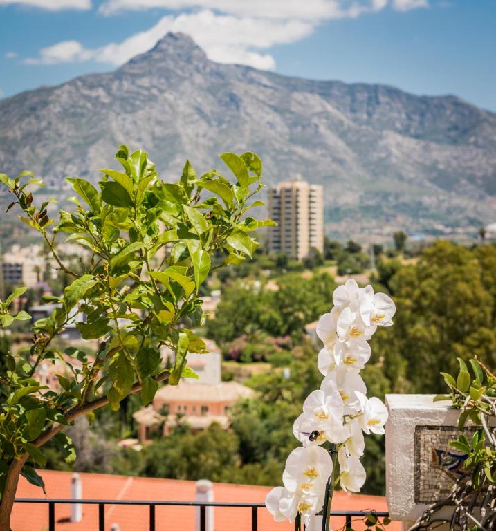 Molo Luxury Suites Puerto Banus - Resim 10