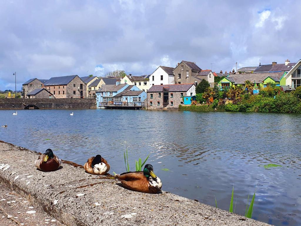 three ducks are sitting on the side of a river at Cornstore Cottage in Pembroke