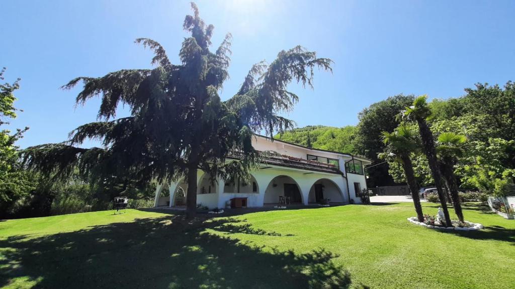 un edificio con palmeras frente a un patio en Cara Pace in collina per gruppi en Montefiore Conca