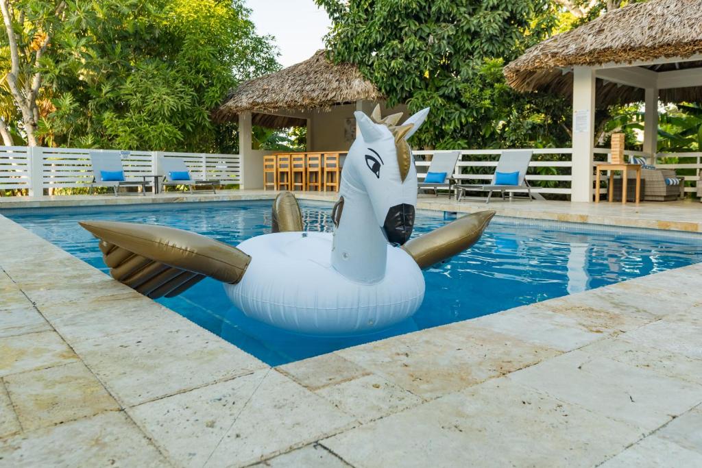 Bazén v ubytování Blue Paloma Bed & Breakfast nebo v jeho okolí
