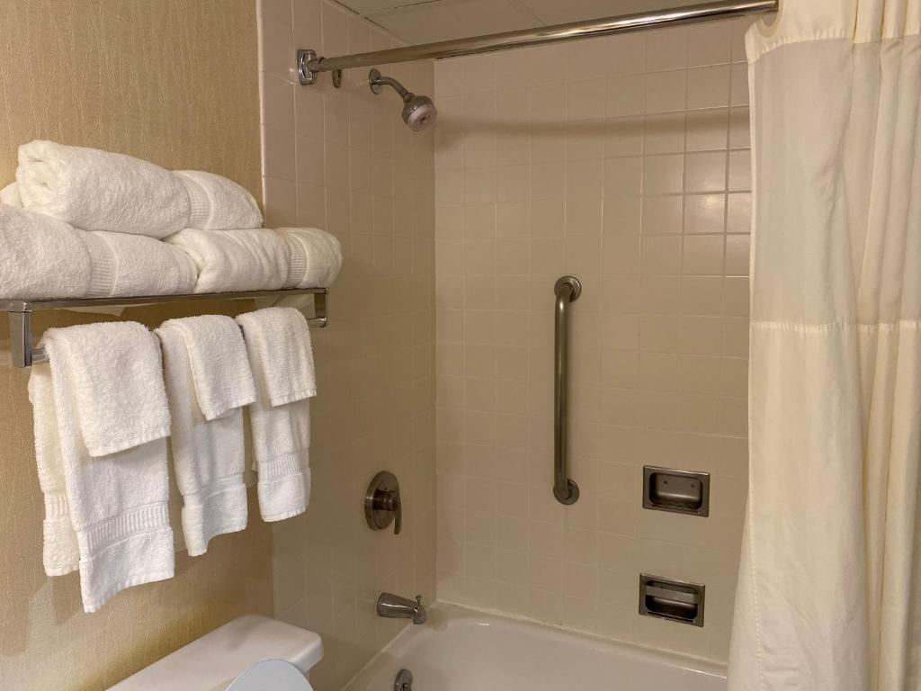 Clarion Hotel Conference Center on Lake Erie - Queen Room Met Twee Queensize Bedden - Niet -roken