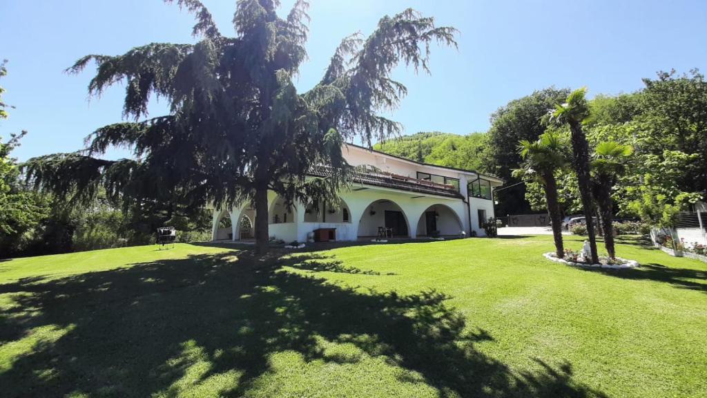 un edificio con una palmera frente a un patio en "CARA PACE" in collina per famiglie, en Montefiore Conca