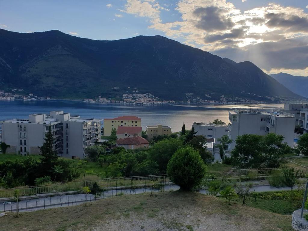 uma vista para uma cidade e um corpo de água em Apartment Jelena em Kotor
