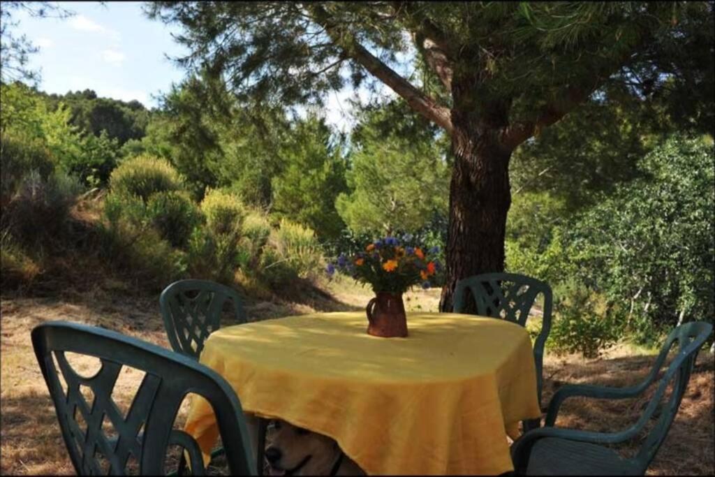 una mesa amarilla con sillas y un jarrón de flores. en Charmant Mas tout équipé en pleine nature catalane, en Cases-de-Pène