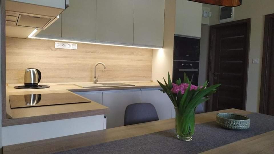 Kuchyň nebo kuchyňský kout v ubytování Barka Apartman