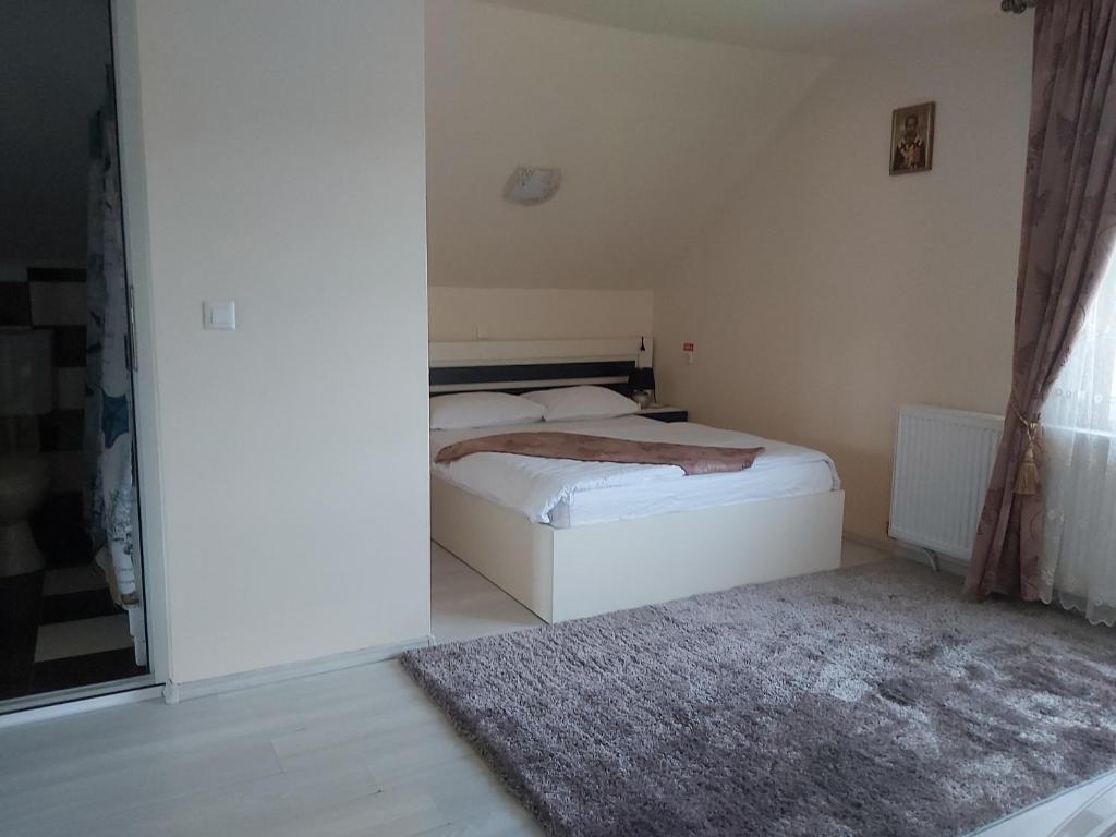 Postel nebo postele na pokoji v ubytování Casa Raluca