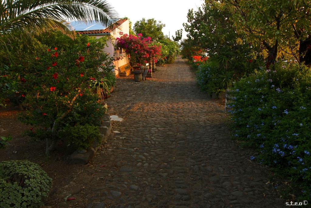 un chemin en pierre avec des fleurs et des plantes dans un jardin dans l'établissement Agriturismo Hibiscus, à Ustica