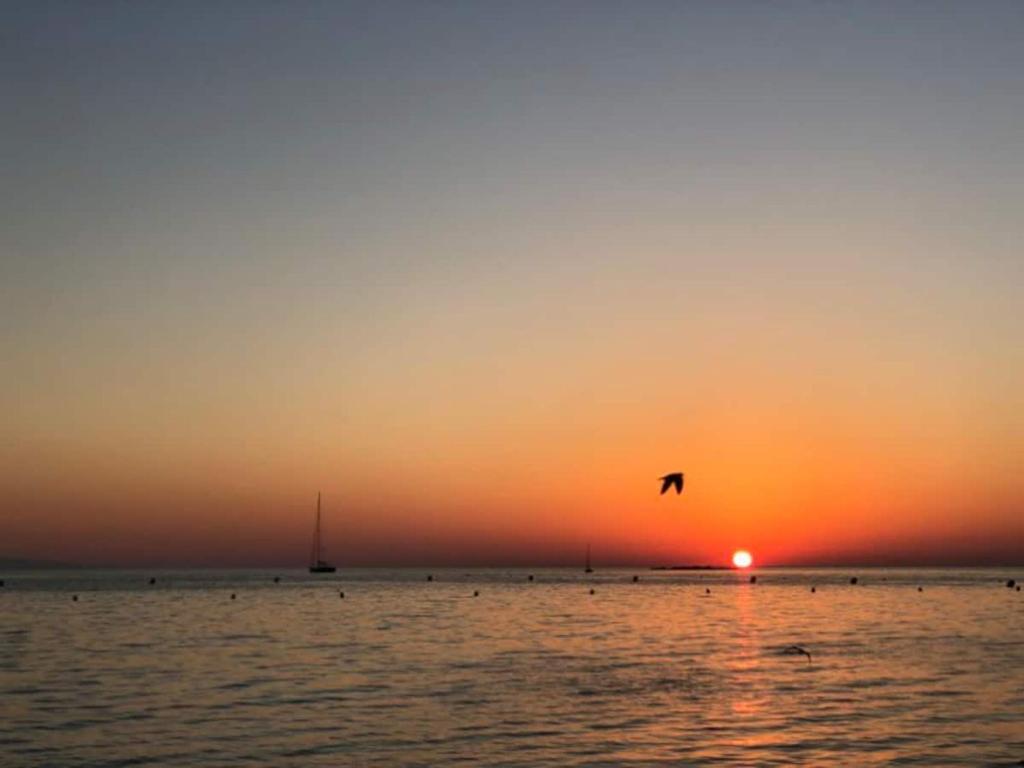 un oiseau survolant l'océan au coucher du soleil dans l'établissement Antibes Seaside one room studio in Salis Beach, à Antibes