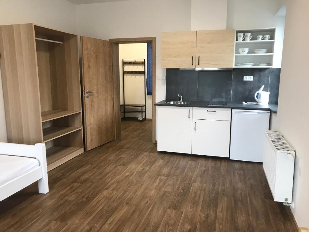 Kuchyň nebo kuchyňský kout v ubytování Apartmány Na handě