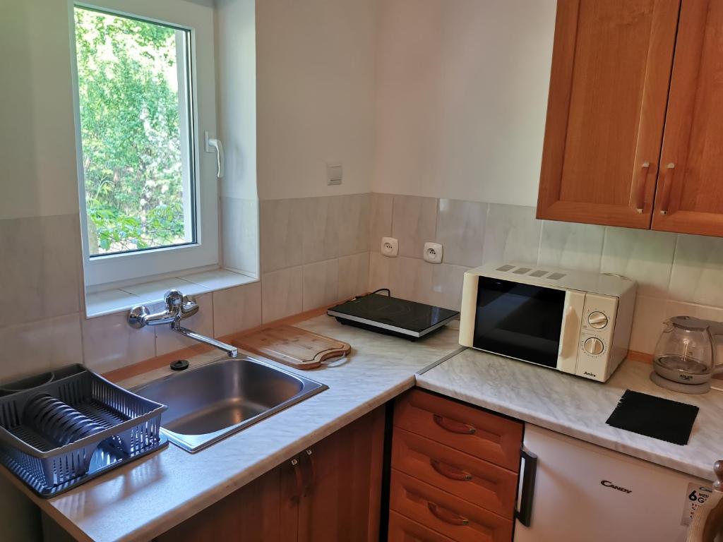 Kuchyňa alebo kuchynka v ubytovaní Apartament Ogrodowa