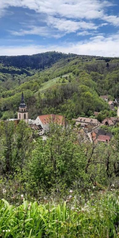 Příroda nedaleko apartmánu
