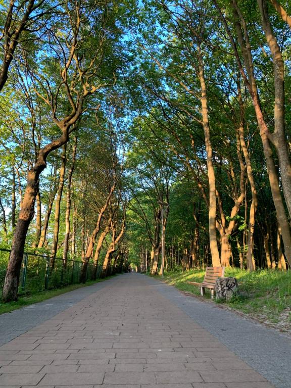 Príroda v okolí apartmánu