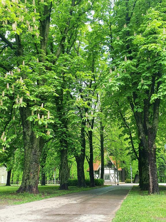 2stāvu PARKA NAMIŅŠ Viesturdārzā pērļu medniekiem! - Apartamento De Una Habitación