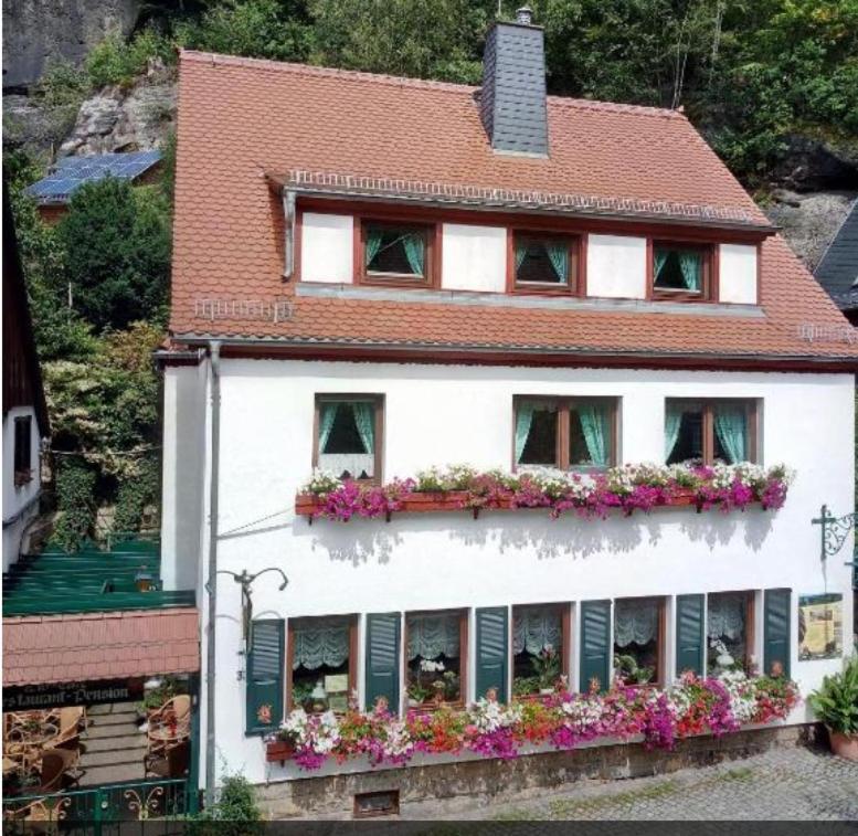 une maison blanche avec des boîtes de fleurs sur son côté dans l'établissement Pension Fuhrmann's Elb- Café, à Bad Schandau