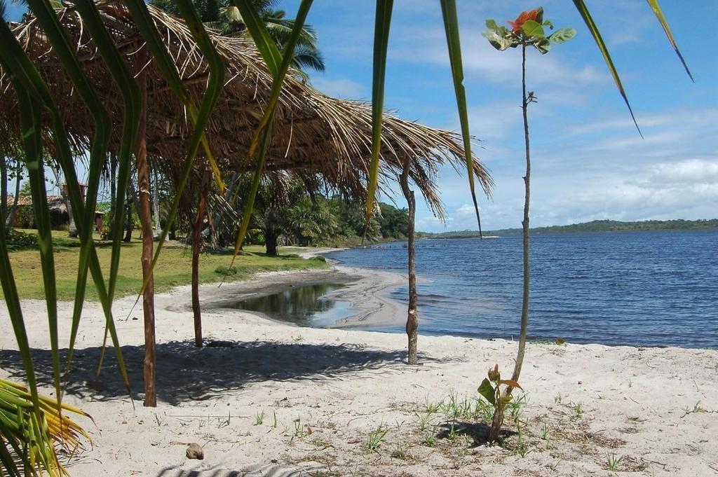  Mansão de 14 hectares em Marau-Bahia