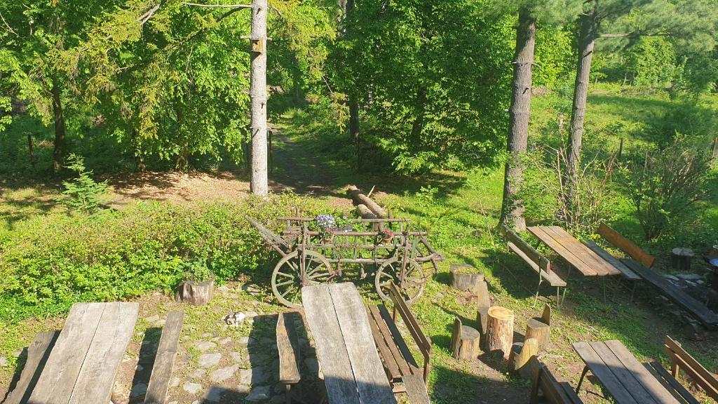 Zahrada ubytování Fehérkőlápa Turistaház Panzió