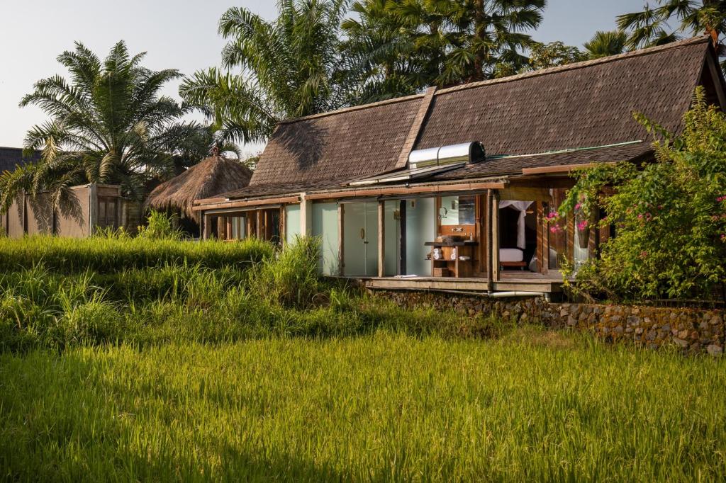 Zahrada ubytování Blue Karma Dijiwa Ubud
