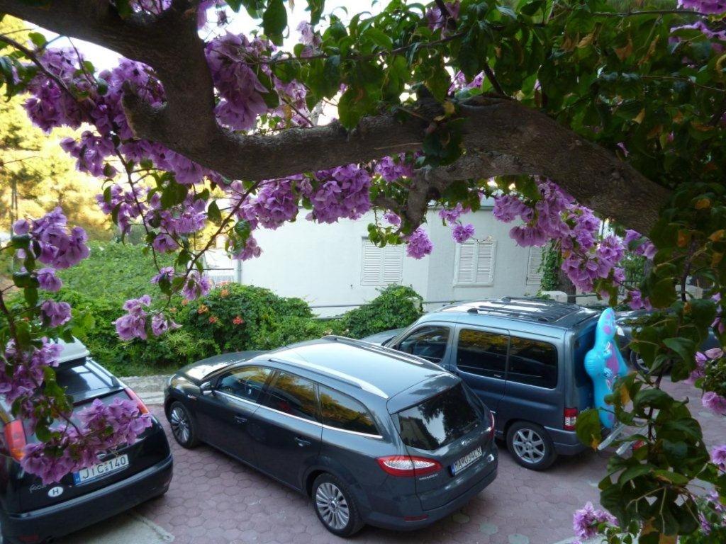 due auto parcheggiate sotto un albero con fiori viola di Apartment in Duce with sea view, balcony, air conditioning, Wi-Fi (132-3) a Duće