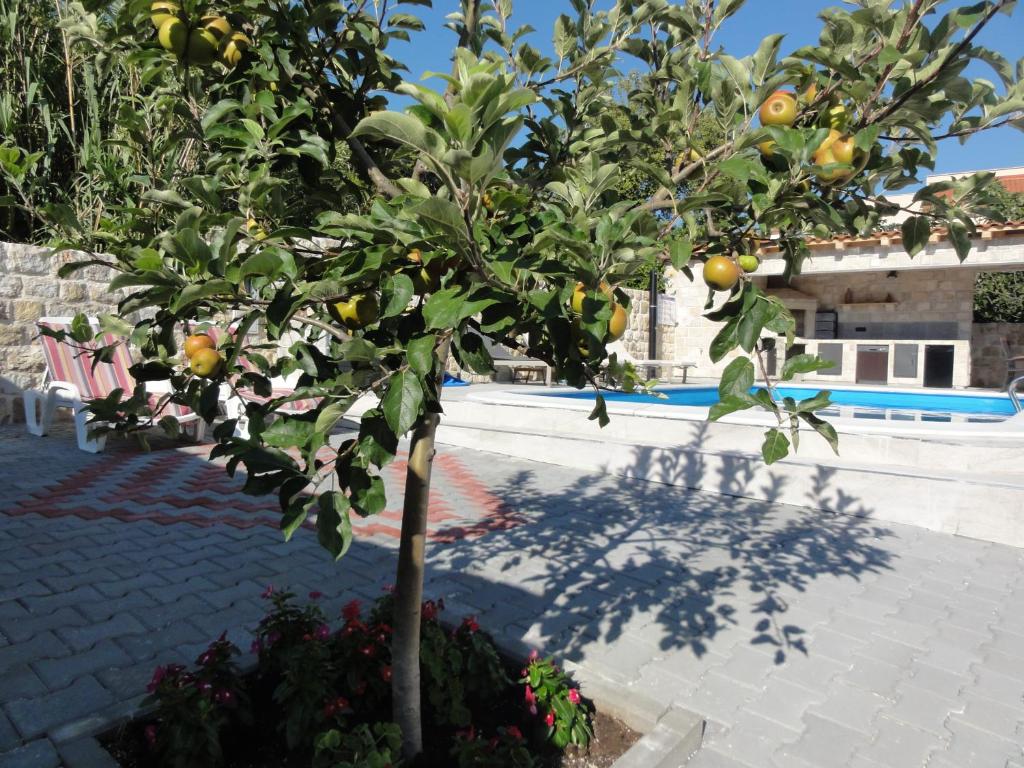 Zahrada ubytování Villa Riva