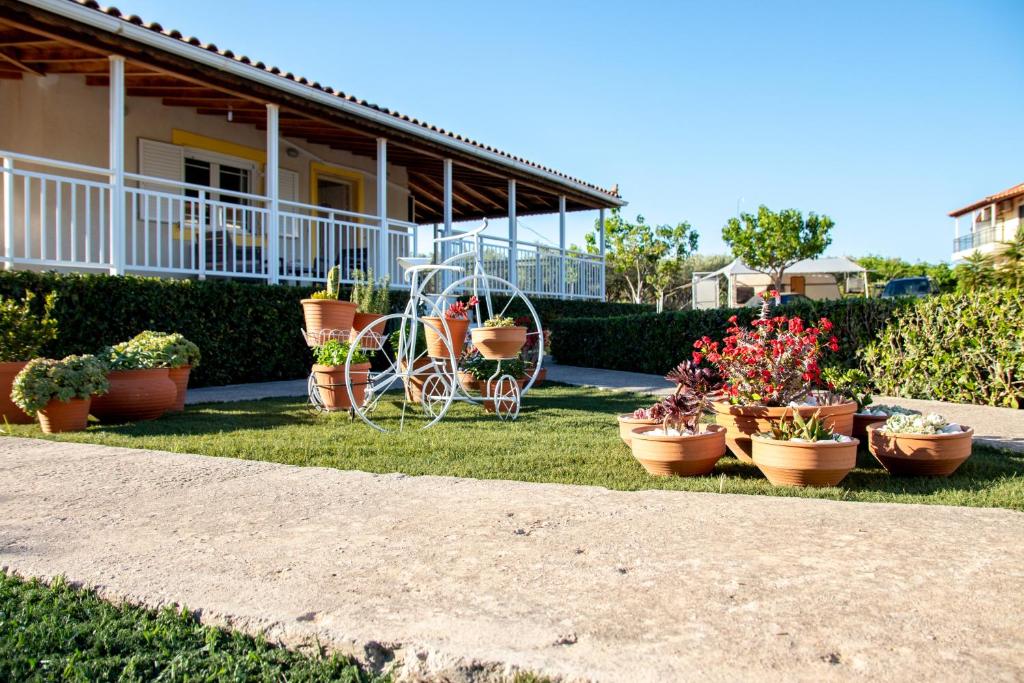 a group of potted plants in front of a house at Fully Equipped Beach House at Pachia Ammos Plytra in Plitra