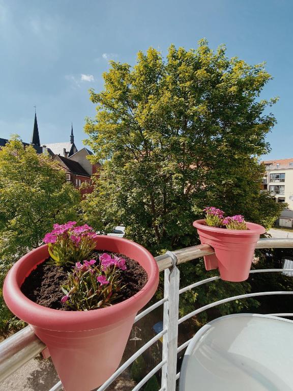 Zahrada ubytování Appartementhaus am Schloss