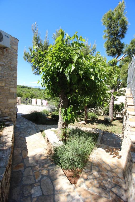 Vonkajšia záhrada v ubytovaní Stone house Skrivena
