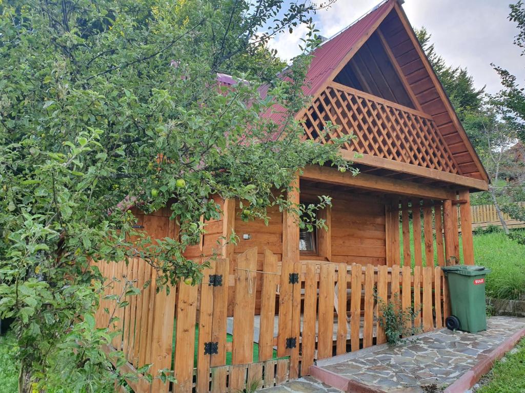 Zahrada ubytování Трембіта