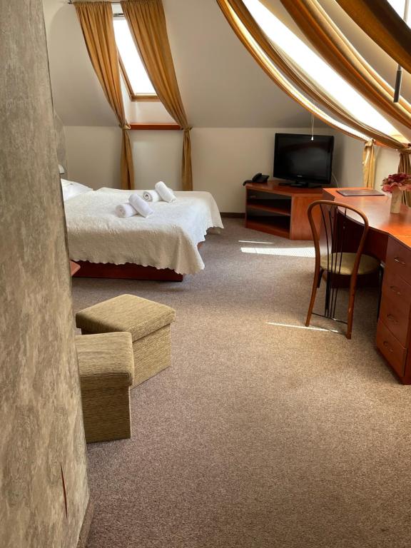 TV a/nebo společenská místnost v ubytování Hotel Pod Hradom