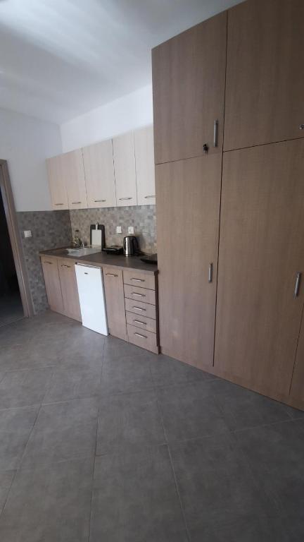 Kuchnia lub aneks kuchenny w obiekcie Apartments M, Kallikratia
