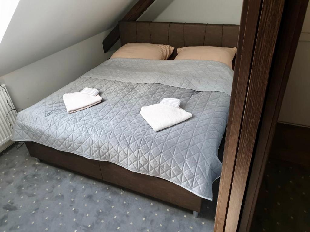 Легло или легла в стая в Demaris