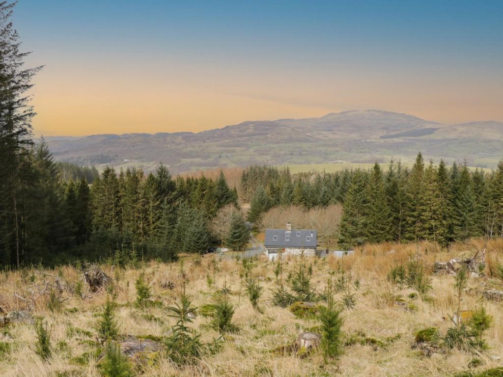 a house in the middle of a field with trees at Brithgwm Canol in Dolgellau