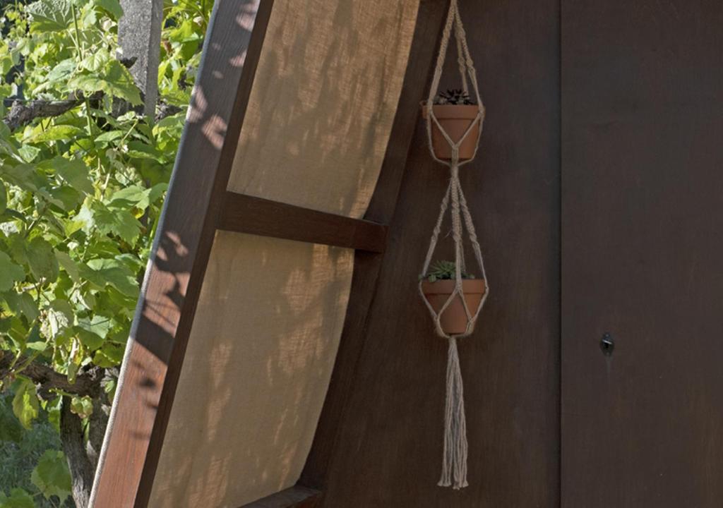 Cimo da Vinha - Nature Spot - 4